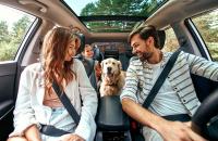 Family road trip